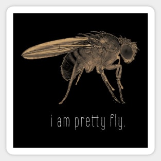 i am pretty fly. Sticker